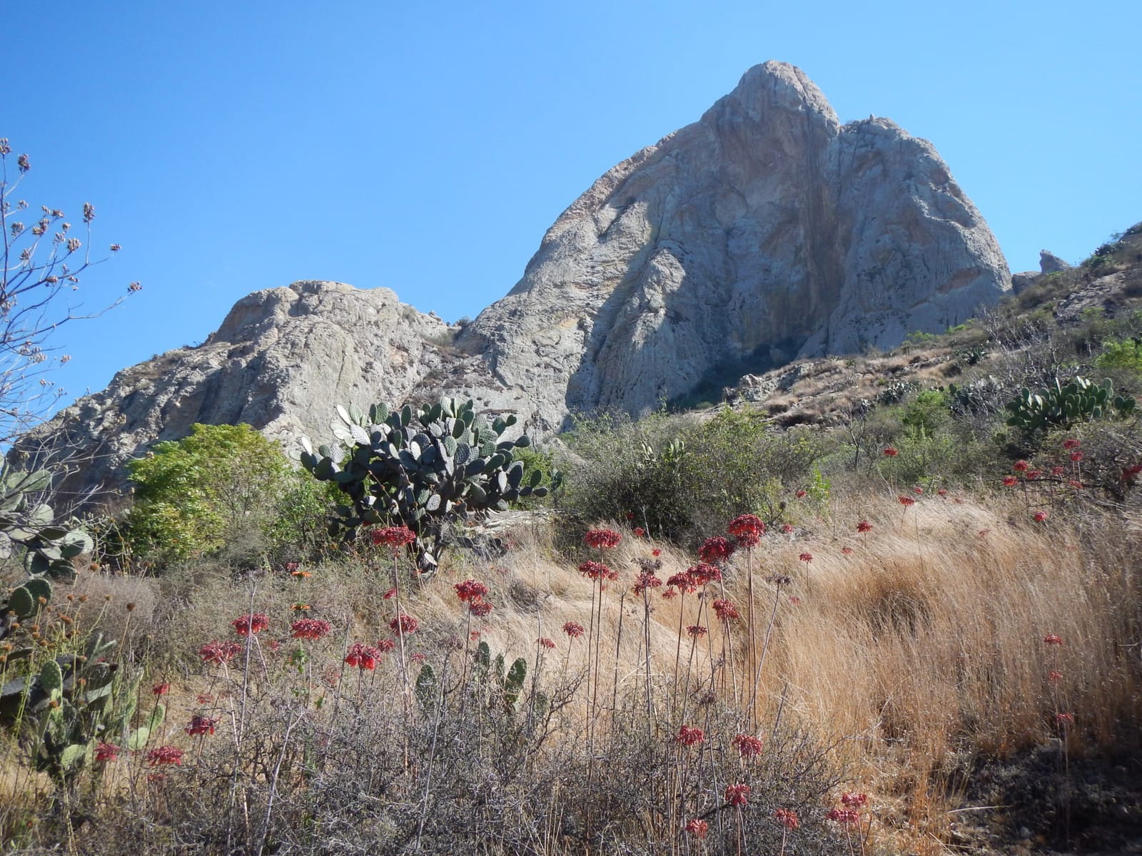 Deluxe Rock Climbing Trip in El Bajío, Mexico. Sunshine, Culture and